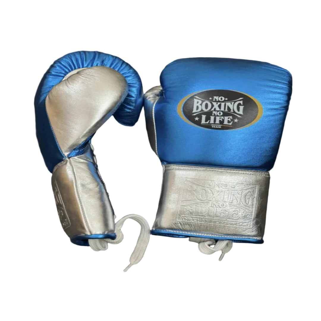 Blue and silver boxing gloves with 'No Boxing No Life' logo on a dark background