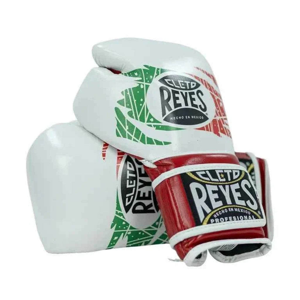 Cleto Reyes boxing gloves with Mexican flag design on a white background