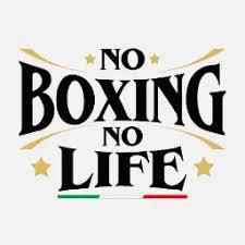 No Boxing No Life Boxing Set – Red & Gold Complete Gear for Professional Training & Sparring (8oz–20oz Gloves, Headgear & Groin Guard)