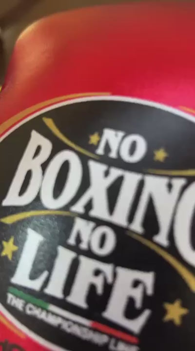 No Boxing No Life Gloves Set - Professional Gloves, Headguard, and Groinguard Set in Black & Metallic Gold Custom Edition